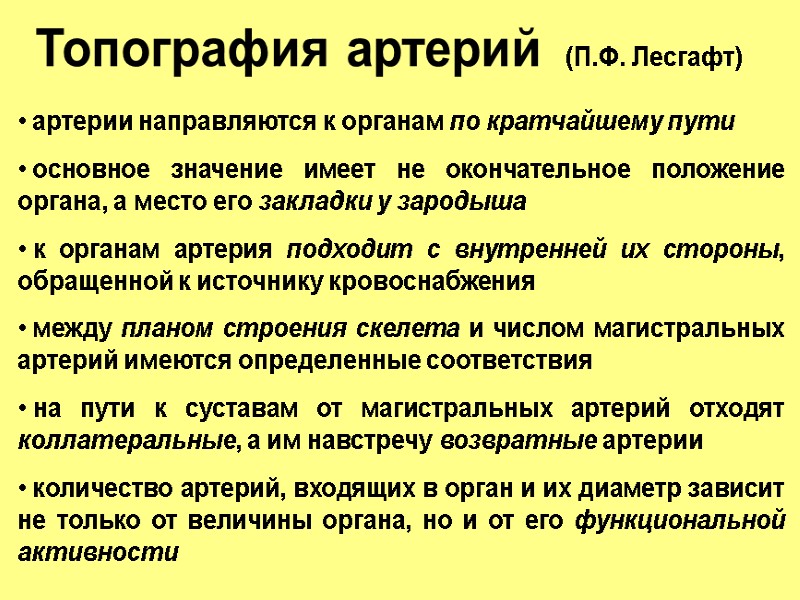Топография артерий   (П.Ф. Лесгафт)  артерии направляются к органам по кратчайшему пути